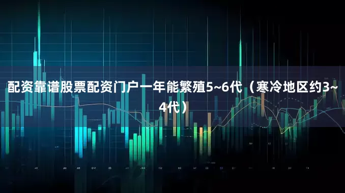 配资靠谱股票配资门户一年能繁殖5~6代（寒冷地区约3~4代）